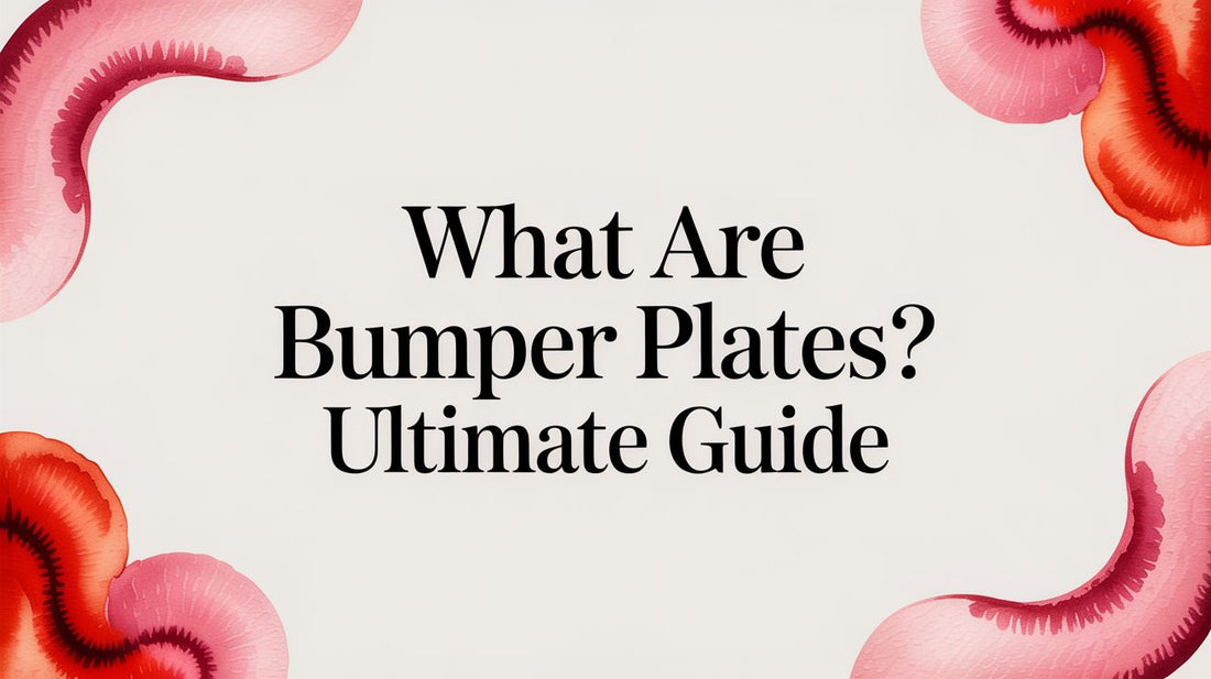 What Are Bumper Plates? Ultimate Guide